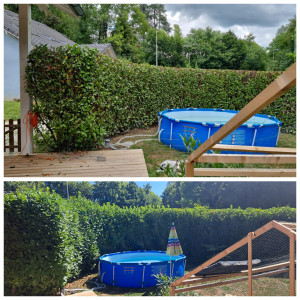 Photo de galerie - Taille de haie