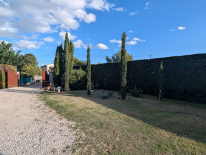 Photo de galerie - Taille de haie