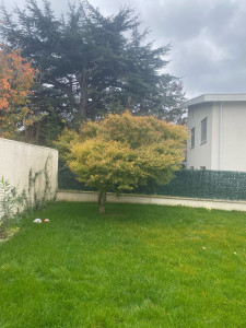 Photo de galerie - Elagage et coupe d'arbres