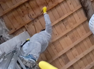 Photo de galerie - Charpente