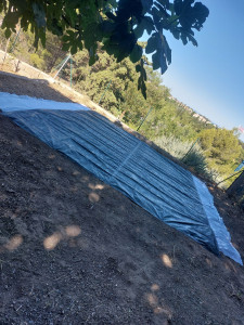 Photo de galerie - Paysagiste - Aménagement du jardin