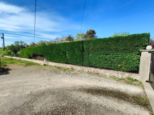 Photo de galerie - Taille de Haie