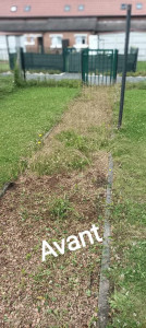 Photo de galerie - Avant deserbage 