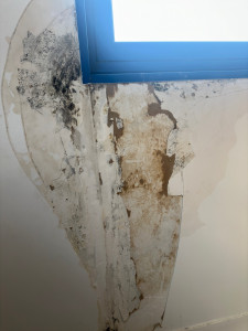 Photo de galerie - Traitement le dégât des eaux 