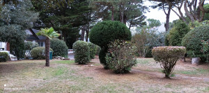 Photo de galerie - Paysagiste - Aménagement du jardin