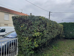 Photo de galerie - Paysagiste - Aménagement du jardin