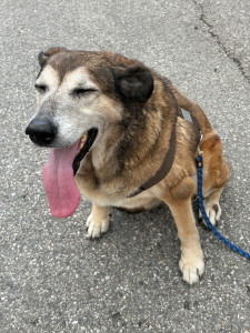 Photo de galerie - Nina