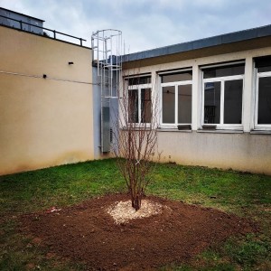 Photo de galerie - Paysagiste - Aménagement du jardin