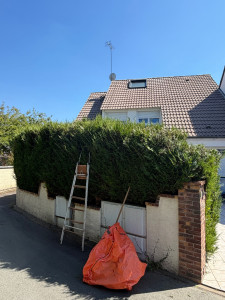 Photo de galerie - Avant taille