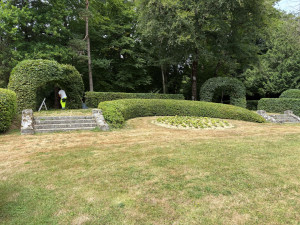 Photo de galerie - Taille de haies et d'arbustes