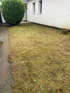 Photo de galerie - Tonte de pelouse - Débroussaillage