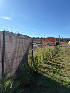 Photo de galerie - Plantation de haie de lauriers sur 30 m