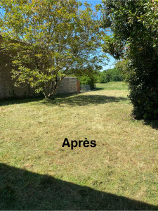 Photo de galerie - Après débroussaillage et tonte