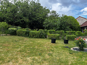 Photo de galerie - Petit taille 