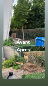 Photo de galerie - Dessouchage avant apres