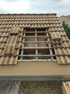 Photo de galerie - Couverture - Toiture