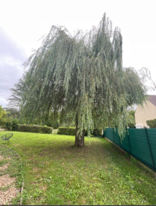 Photo de galerie - Avant 