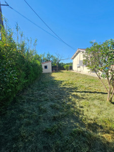 Photo de galerie - Tonte de pelouse - Débroussaillage