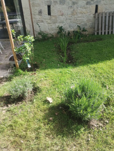 Photo de galerie - Jardinage 