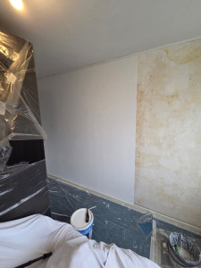 Photo de galerie - Posse de Fibre du verre 