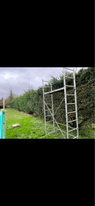 Photo de galerie - Taille de haie