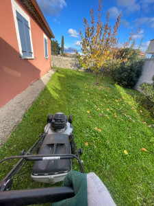 Photo de galerie - Tonte pelouse 