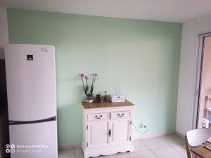 Photo de galerie - Peinture vert pastel sur deux murs ( 1 chambre, 1 salon)