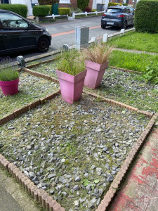 Photo de galerie - Il y avait des hautes herbes, et j’ai tout désherber