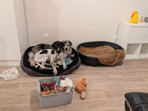 Photo de galerie - A la maison