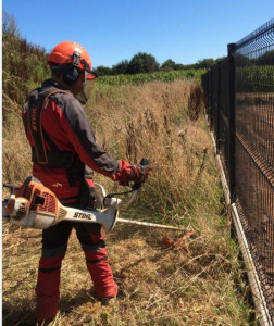 Photo de galerie - Tonte de pelouse - Débroussaillage