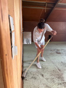 Photo de galerie - Nettoyage d'un grenier