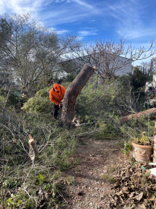 Photo de galerie - Photo de mon travaille