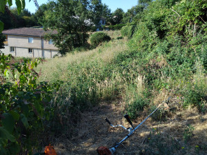 Photo de galerie - Debrouissallage terrain ( avant)