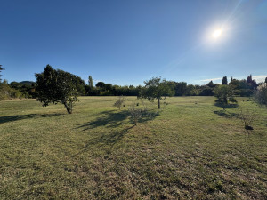 Photo de galerie - Tonte de pelouse - Débroussaillage