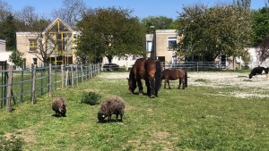 Photo de galerie - Garde animaux