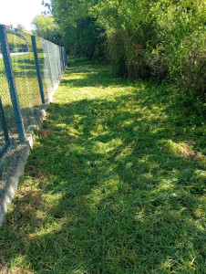 Photo de galerie - Débroussaillage