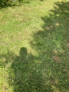 Photo de galerie - Après intervention secteur Egreville 77 terrain d’environ 300m2