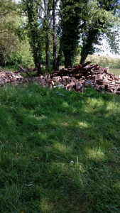 Photo de galerie - Coupe de bois rangement, déplacement etc