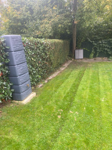 Photo de galerie - Taille de haies + tonte 