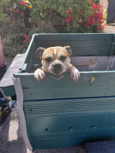 Photo de galerie - Petite ballade 