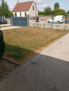 Photo de galerie - Engazonnement et plantations de lauriers.