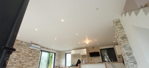 Photo de galerie - Travaux de peinture mat réalisé sur plafond dans un salon