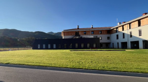 Photo de galerie - Tonte de pelouse 