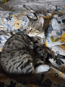 Photo de galerie - Paco