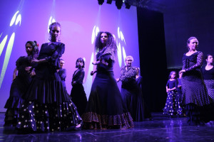 Photo de galerie - Spectacle de fin d'année associatif