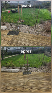 Photo de galerie - Tonte