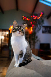 Photo de galerie - Photographe