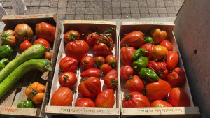 Photo de galerie - Jardinier