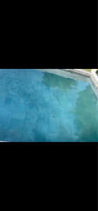 Photo de galerie - Nettoyage du fond piscine , chimie du bassin et filtration et conseils 