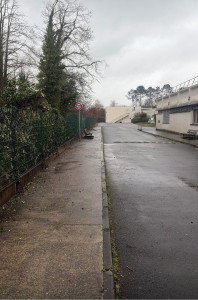 Photo de galerie - Elagage et coupe d'arbres